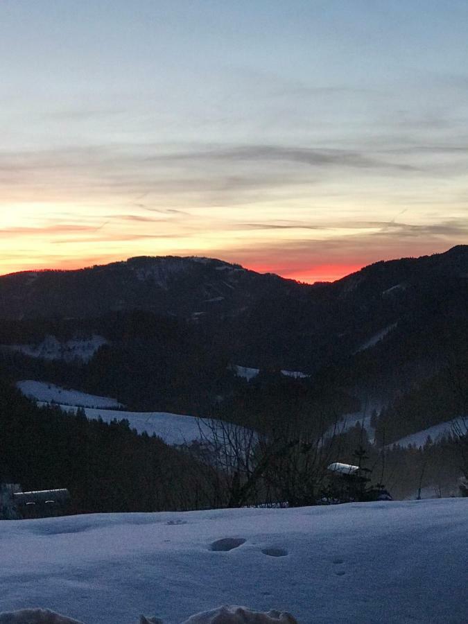 Das Landhaus Puchenstuben Bagian luar foto
