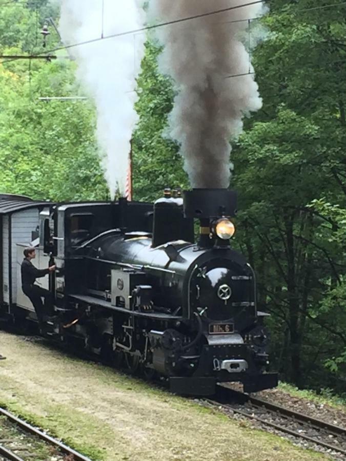 Das Landhaus Puchenstuben Bagian luar foto