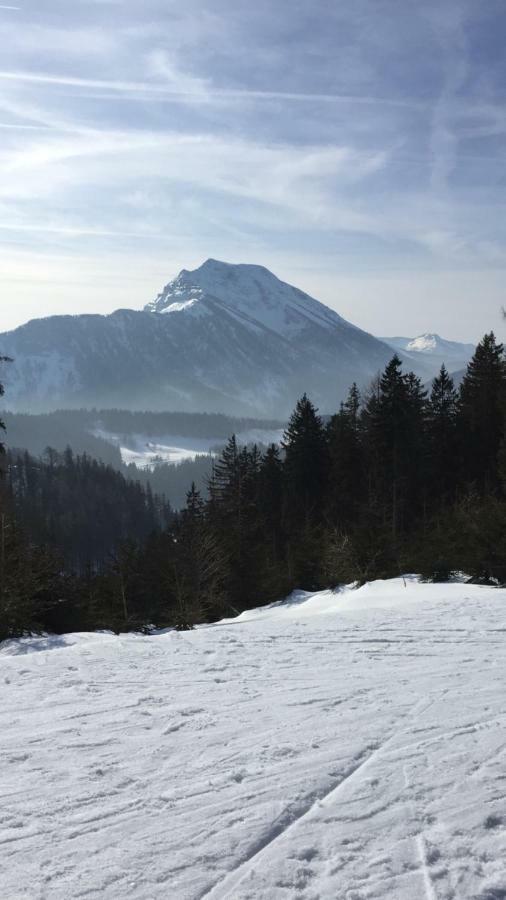 Das Landhaus Puchenstuben Bagian luar foto