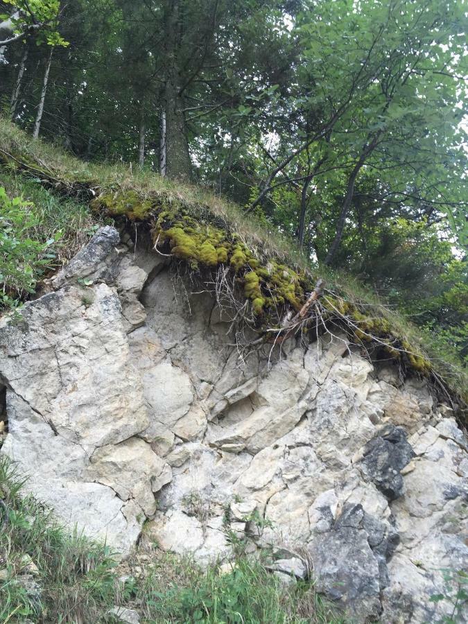 Das Landhaus Puchenstuben Bagian luar foto